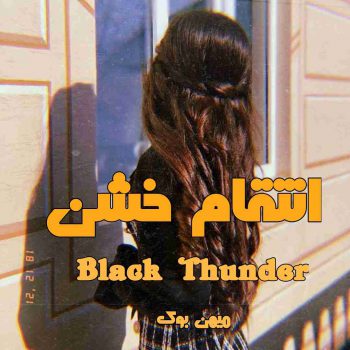 دانلود کتاب انتقام خشن pdf از Black Thunder با لینک مستقیم